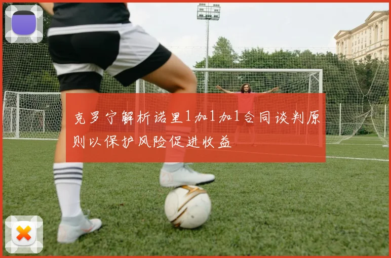 克罗宁解析诺里1加1加1合同谈判原则以保护风险促进收益